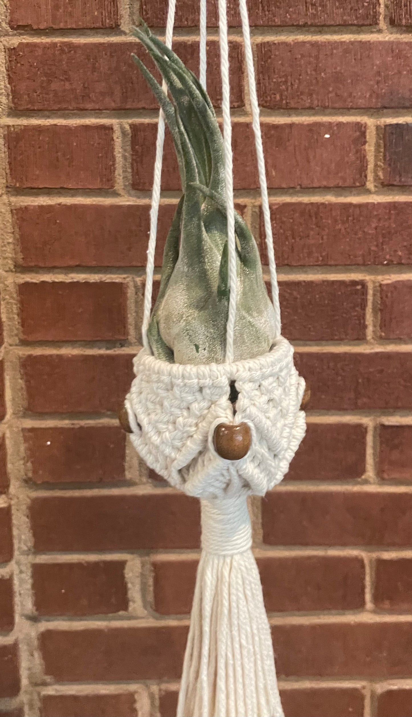 PLANT HANGER: Small Bucket