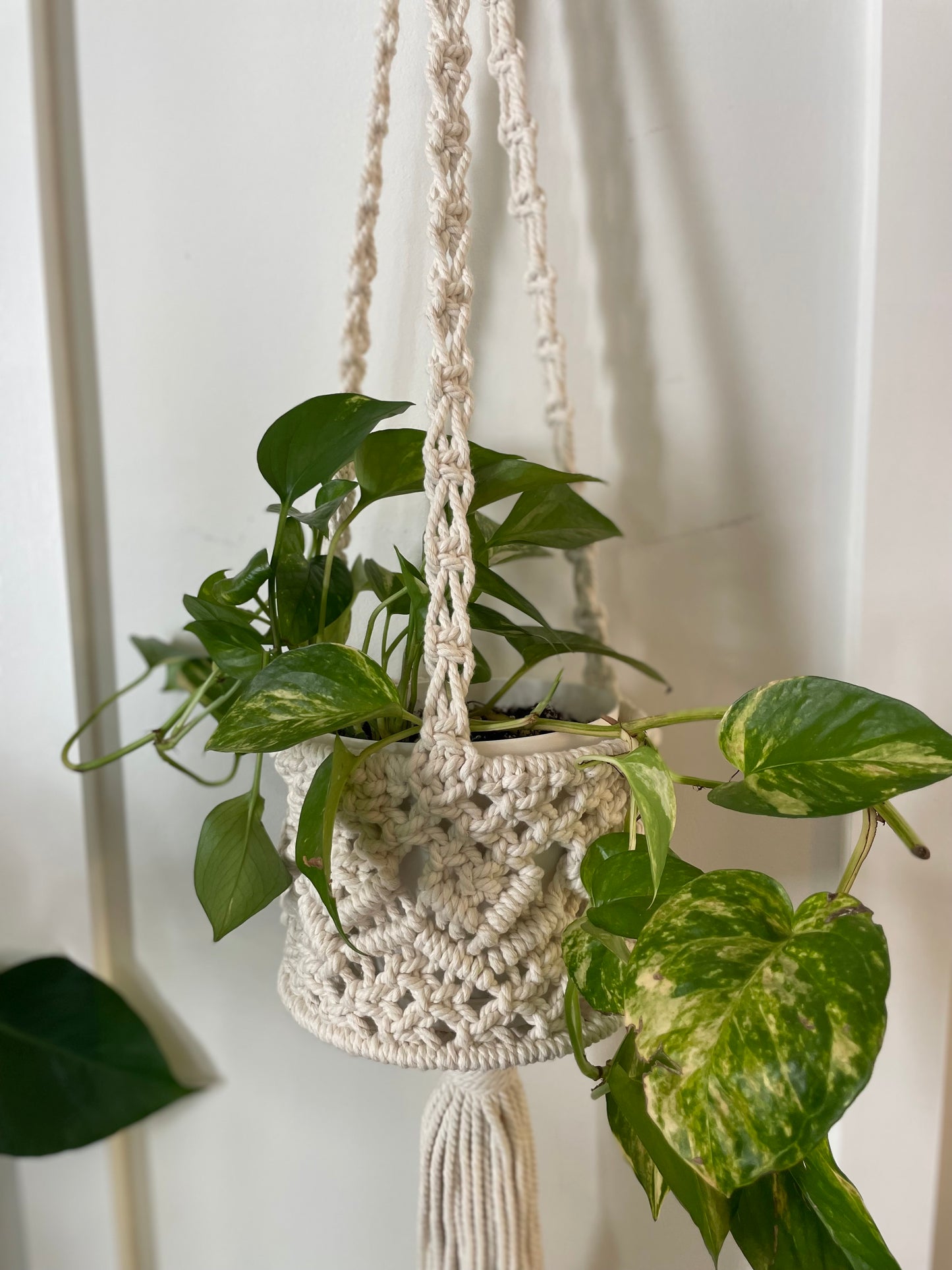 PLANT HANGER: Ivory