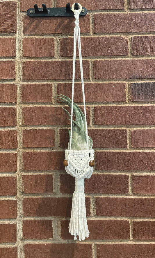 PLANT HANGER: Small Bucket