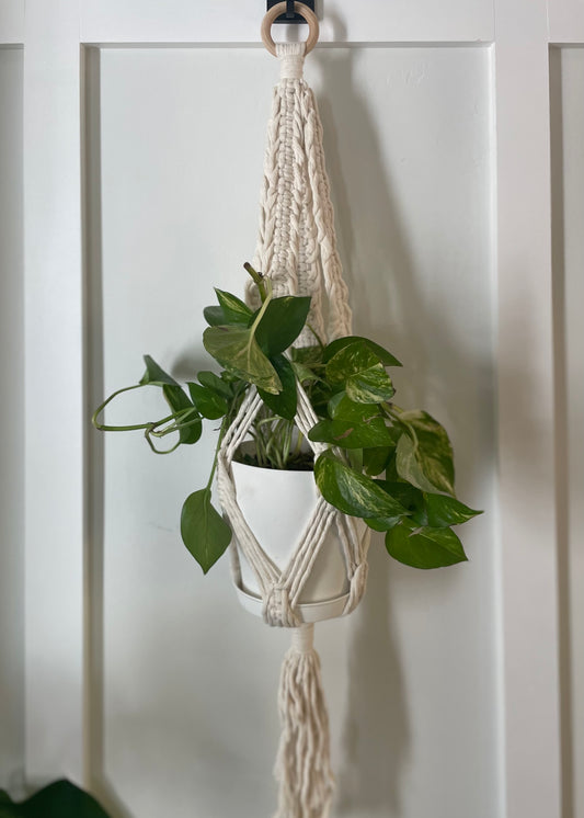 PLANT HANGER: Ivory