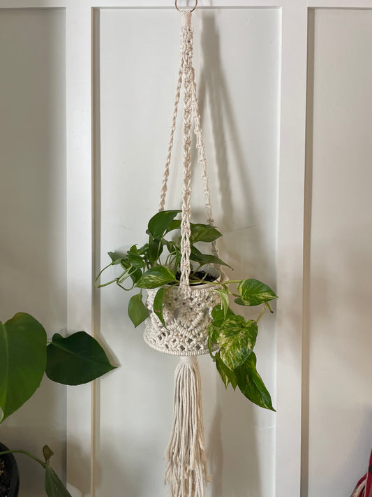 PLANT HANGER: Ivory