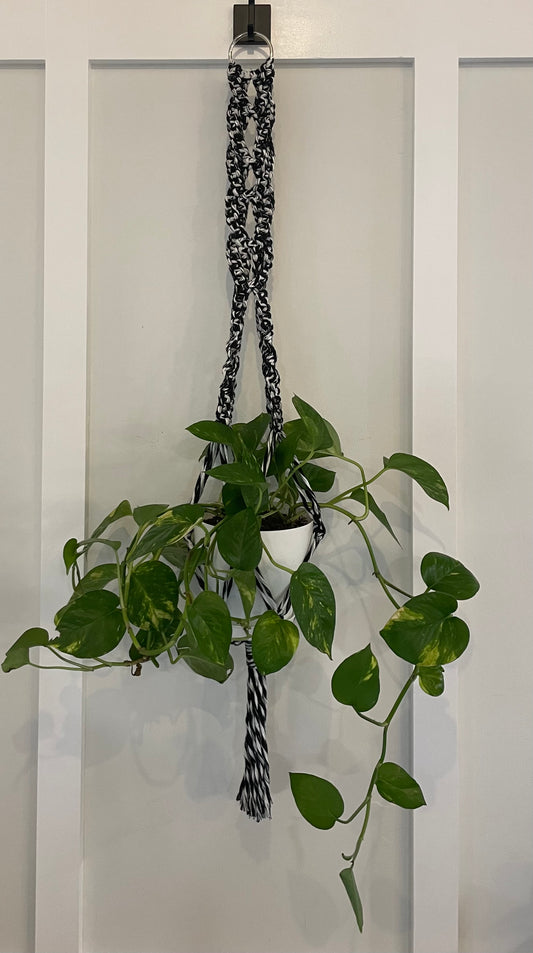 PLANT HANGER: Black & White